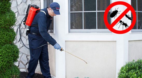Atkaracalar Karınca İlaçlama böcek ilaçlama ve haşere kontrolü — ilaclama-tr.com
